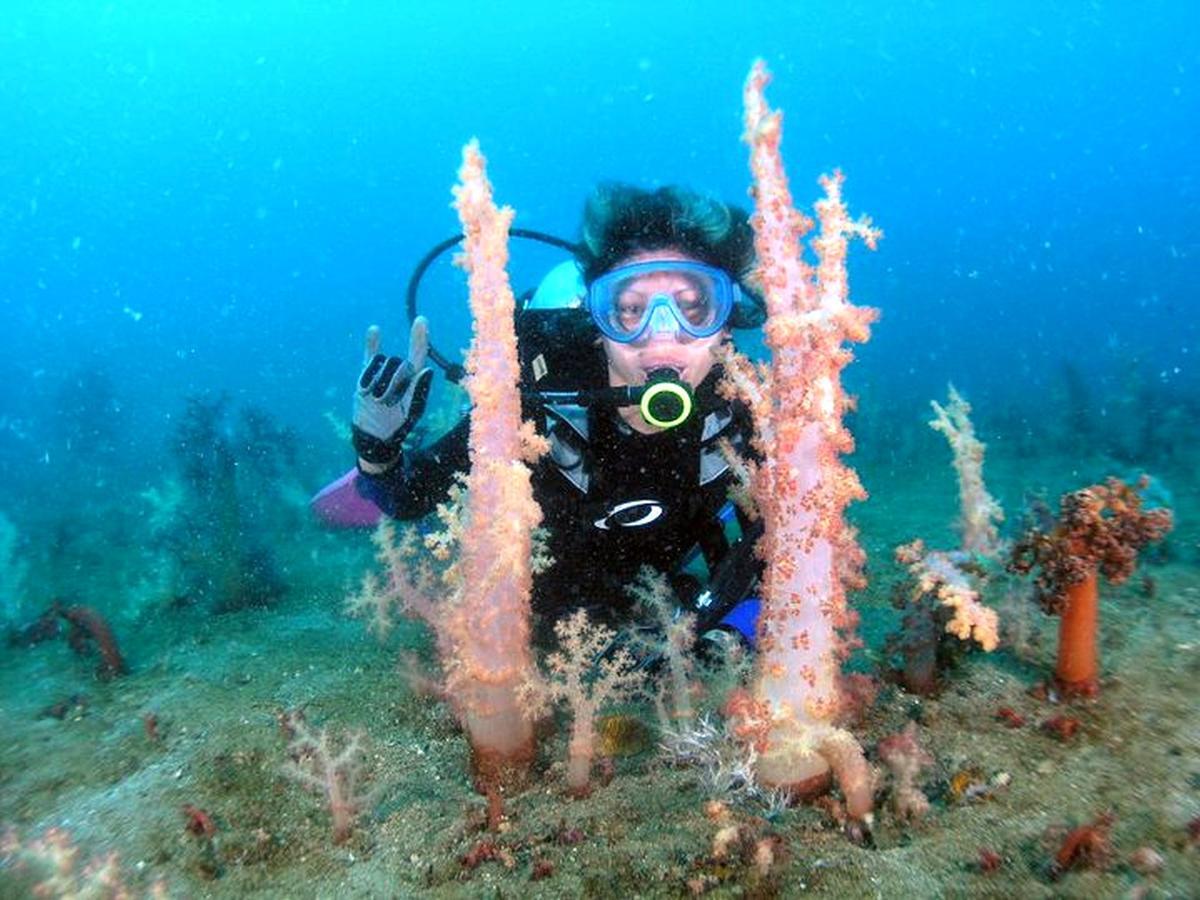 Bentrina Diving Resort Mabini  Exterior foto